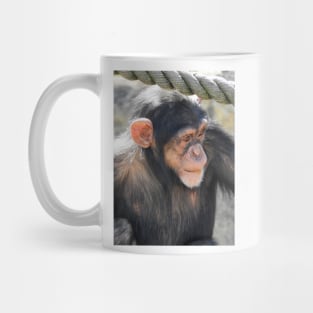 Chimpanzee Mug